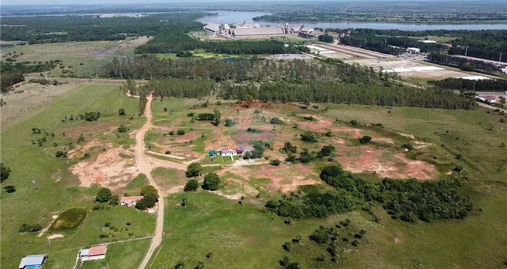 Vendo 95 hectáreas en Villeta ❗ Sobre ruta principal ❗Zona industrial 🇳🇱 — foto 3