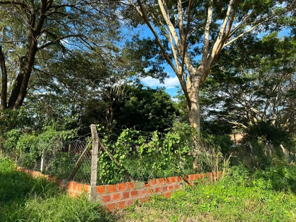 TERRENO EN EQUINA SOBRE AVDA. AMERICO PICCO VILLA ELISA — foto 2