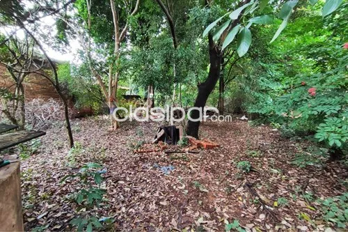Terreno en Venta en Central Luque Campo Grande JUANA MARIA DE LARA — foto 3
