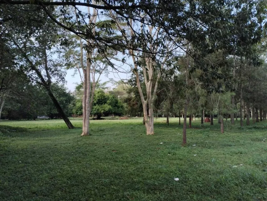 Vendo Terreno en Luque — foto 3