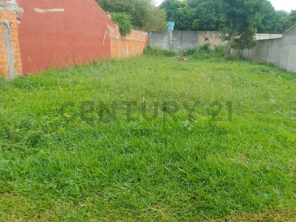 Vendo terreno en Luque — foto 2