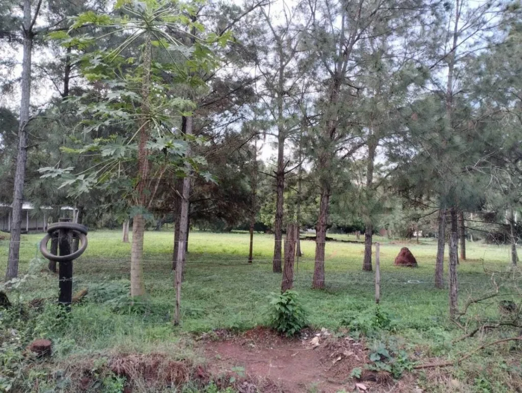 Vendo terreno en Luque — foto 3