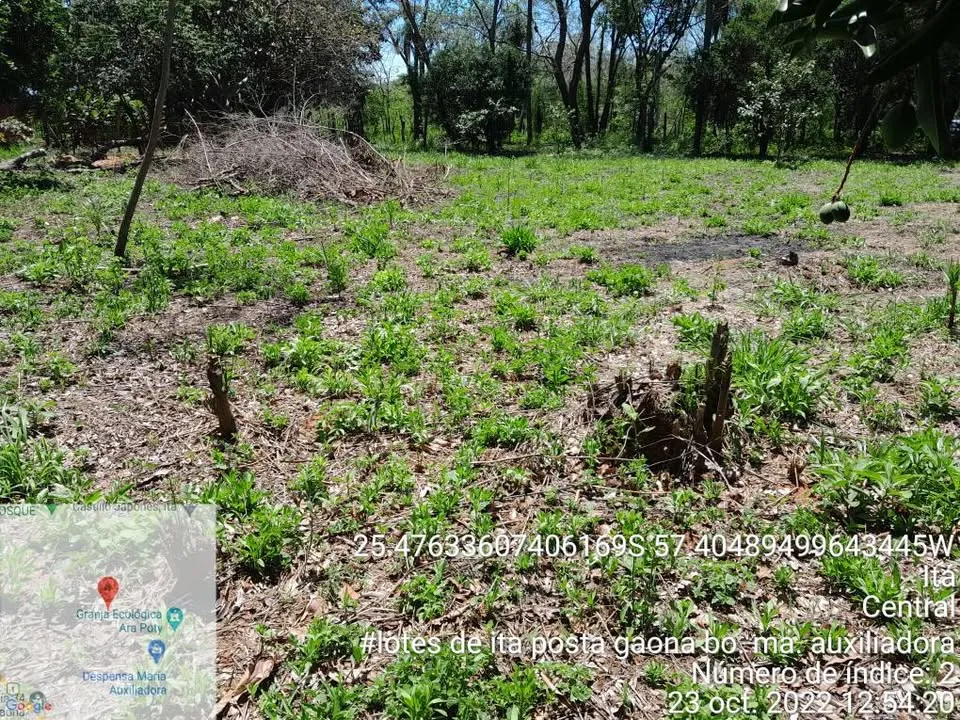 Oferta de Lotes en ITA, Posta Gaona — foto 3