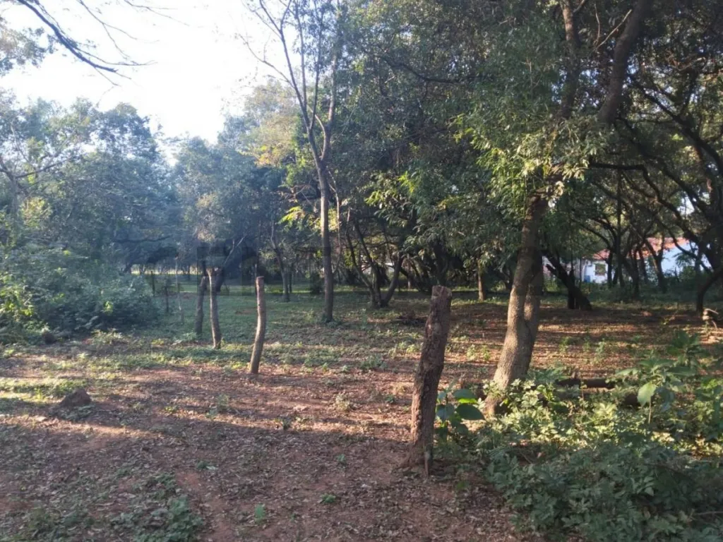 VENDO TERRENO DE 2960 M2 EN LUQUE - MARAMBURE - YUKYRY — foto 3