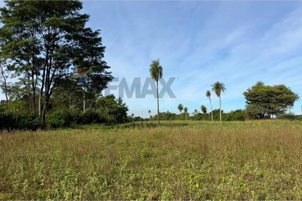 VENDO 2.9 HECTAREAS EN VILLETA ZONA LOMAS VALENTINAS — foto 2