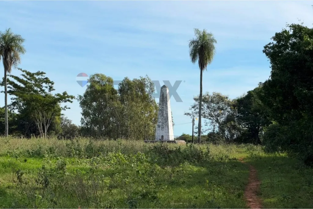 VENDO 2.9 HECTAREAS EN VILLETA ZONA LOMAS VALENTINAS — foto 3