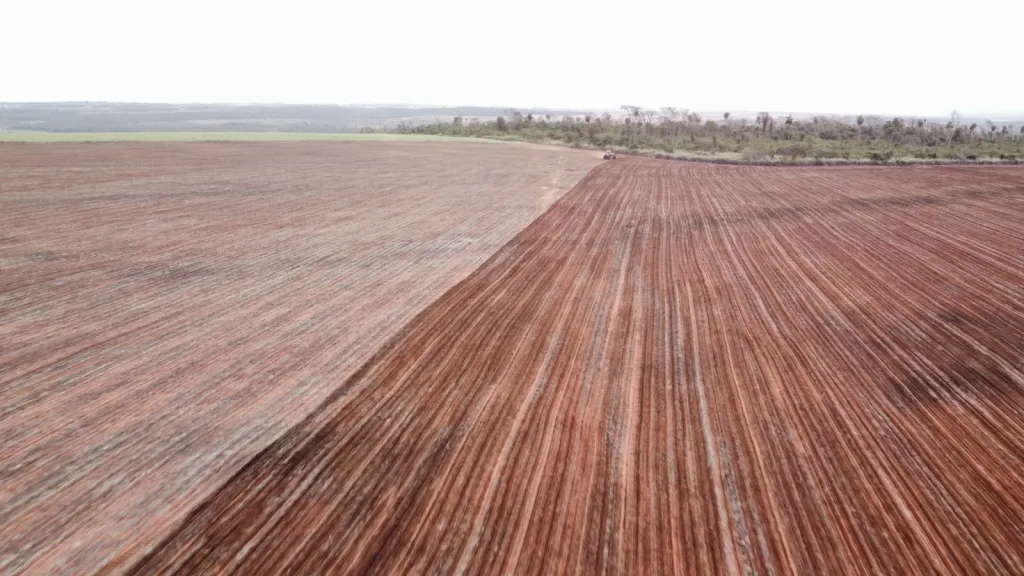 Vendo Campo en Curuguaty | 1.001 Ha Productivas | Desde Gs. 50 MillonesHa — foto 3