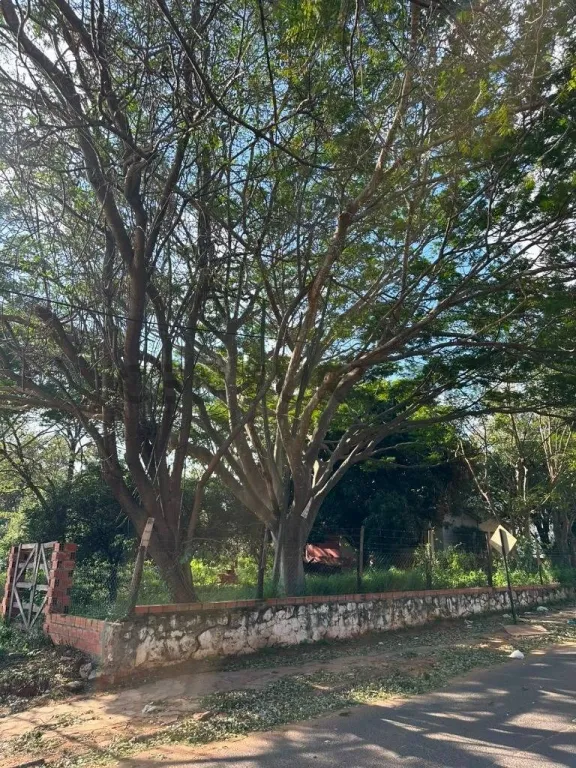 IMPORTANTE PROPIEDAD SOBRE AVDA. AMERICO PICCO - VILLA ELISA — foto 2