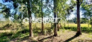 Granja en Itá - 9 Ha. — foto 3
