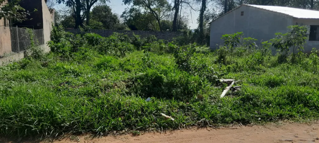 VENDO TERRENO EN ÑEMBY — foto 2