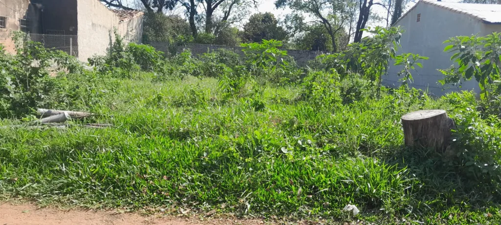 VENDO TERRENO EN ÑEMBY — foto 3
