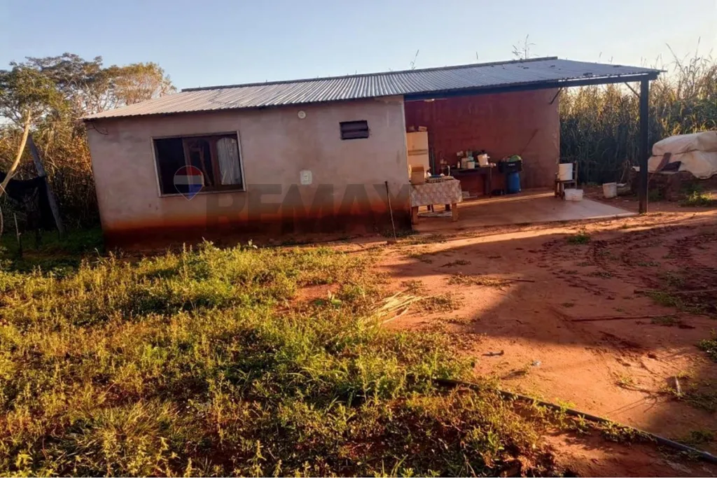 VENDO 4 HECTAREAS EN PIRAYÚ CON GRANJA AVICOLA — foto 3