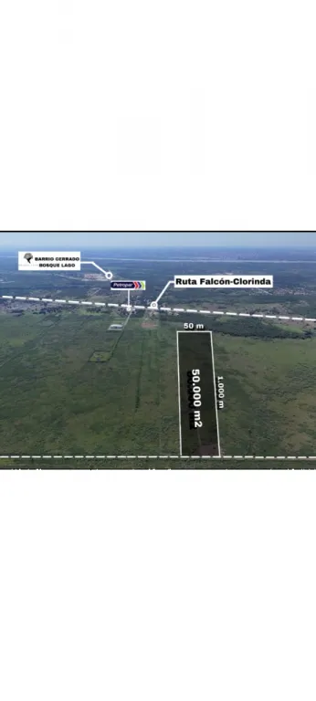EN VENTA 5 HECTÁREAS EN PTO. FALCÓN — foto 2