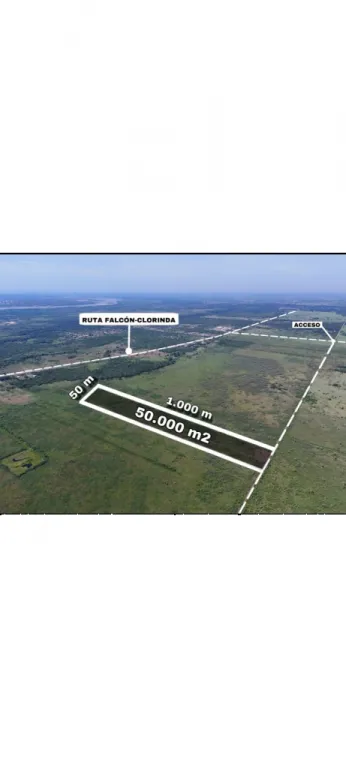 EN VENTA 5 HECTÁREAS EN PTO. FALCÓN — foto 3
