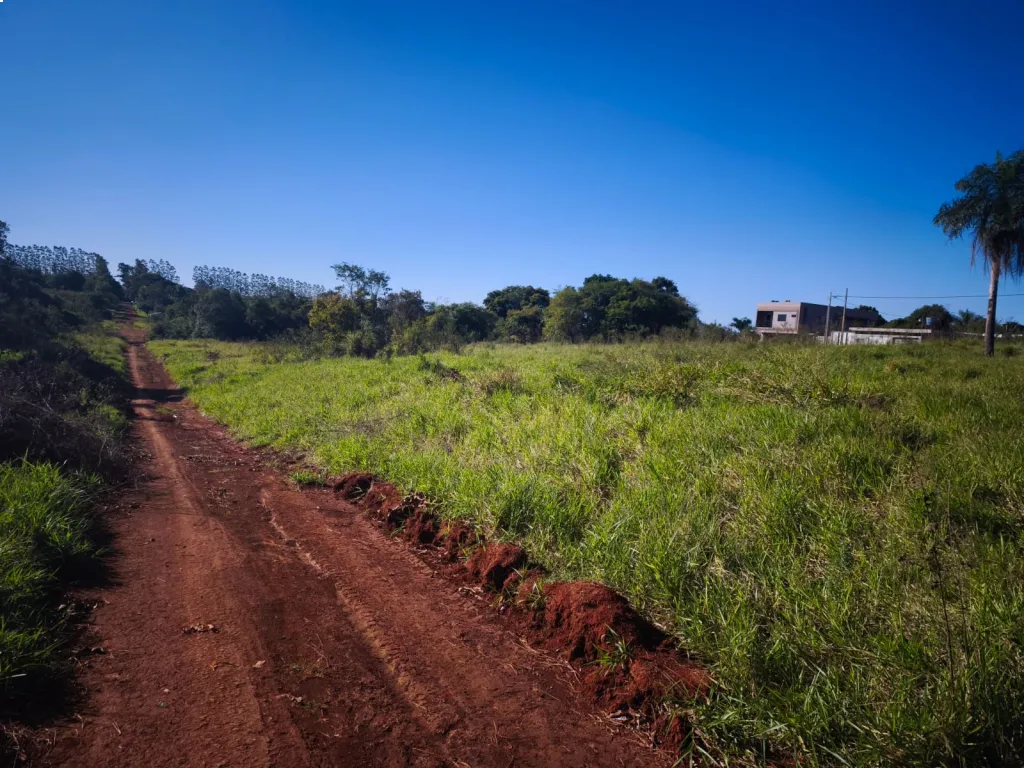 Vendo 5 terrenos juntos o por separado Minga Guazu km16 — foto 2