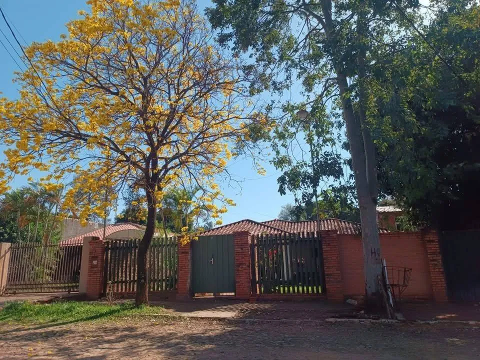 VENDO CASA ESTILO COLONIAL EN SAN LORENZO - CNEL. MORALES 631 M2 — foto 3
