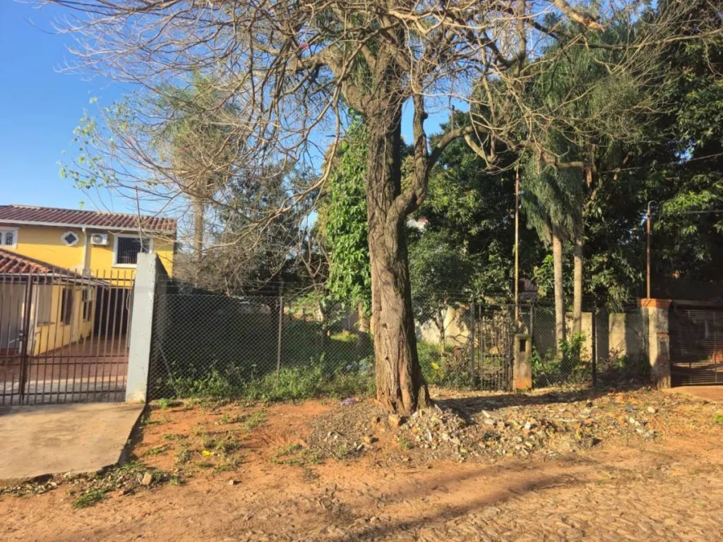 EN VENTA TERRENO EN FERNANDO DE LA MORA ZONA SUR — foto 2