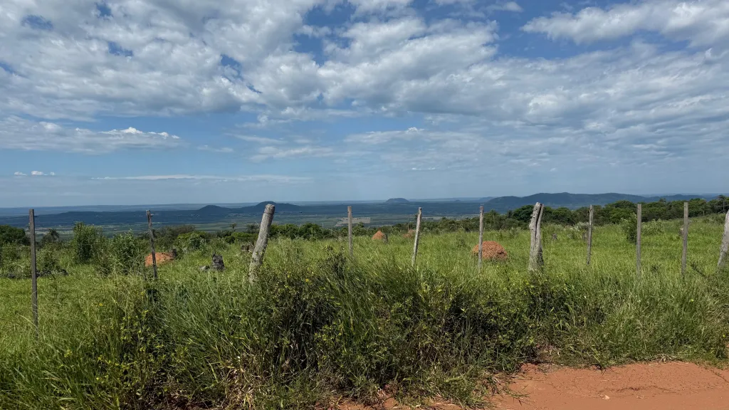 EN VENTA 8.5 HECTÁREAS EN PIRIBEBUY 🌳🌴 — foto 2