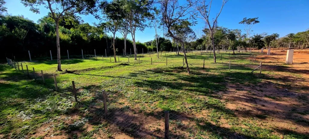 Terrenos en Areguá Condominio — foto 3