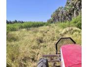 Campo Ganadero en Moisés Galeano - 1281 Ha.