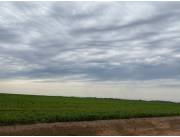 Vendo Propiedad Agricola de 800 Hectreas en San Cosme y Damian - CLCS8597113