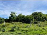 Terreno en Venta en SE VENDE TERRENO DE 880 M2 EN LUQUE, ZARATE ISLA