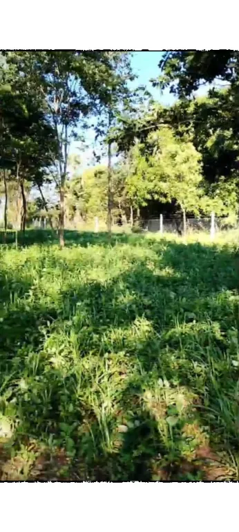 HERMOSA PROPIEDAD EN NUEVA ITALIA!!! — foto 3