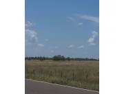 Propietario vende campo de 250 hectareas