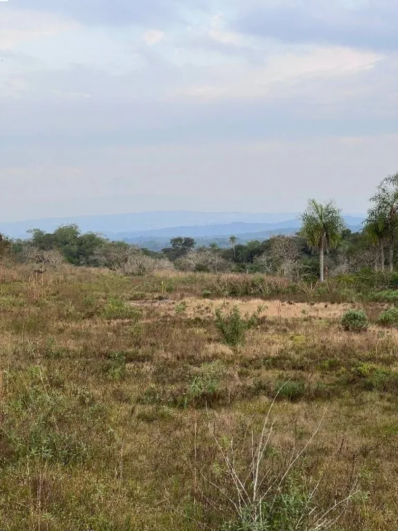 HECTAREAS EN PIRIBEBUY — foto 2
