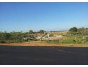 VENDO CAMPO de 422 HAS, SOBRE ASFALTO