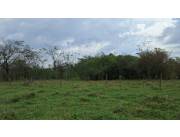 VENDO TERRENO EN DPTO. DE SAN PEDRO