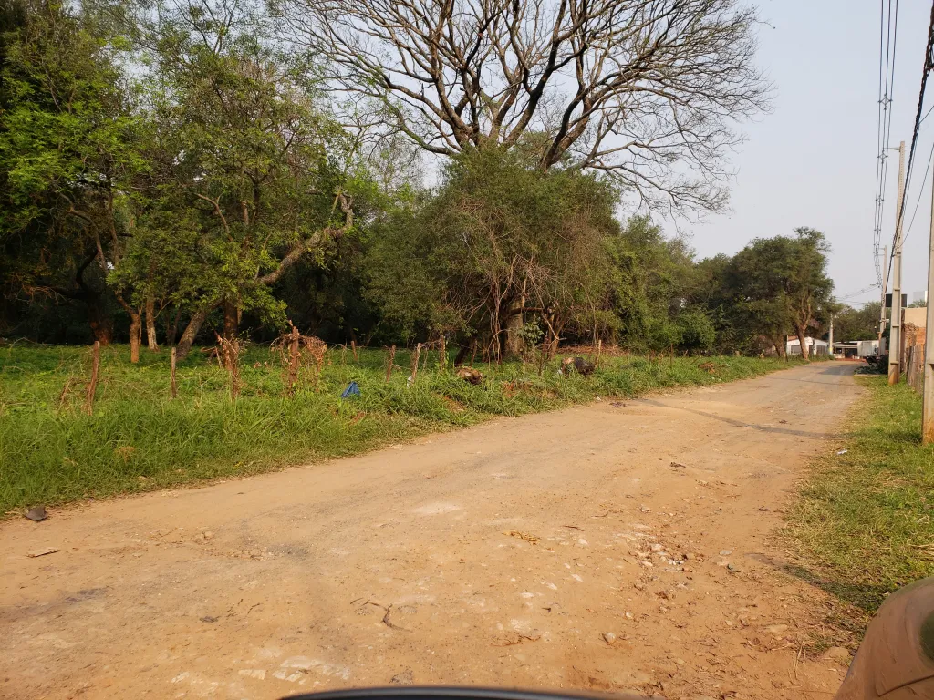 Vendo 60.000 m2 en Luque — foto 2