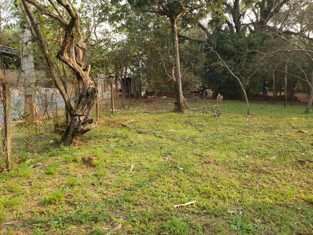 Vendo 60.000 m2 en Luque — foto 3
