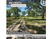 EN VENTA 20 HA SOBRE RUTA 9 CASI CRUCE RUTA 12, FALCON.