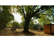 En venta terreno en el Barrio San Rafael - Presidente Franco