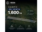 Campo de 1.613 hectáreas en venta – Caapucú, Paraguarí