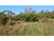 YAGUARON.VENDO PROPIEDAD DE 21.700 MTS2.,ESQUINA A 100 MTS.DEL ASFALTO.