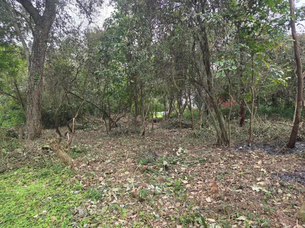 Vendo terreno cerca del centro de Sanber. Financio — foto 2