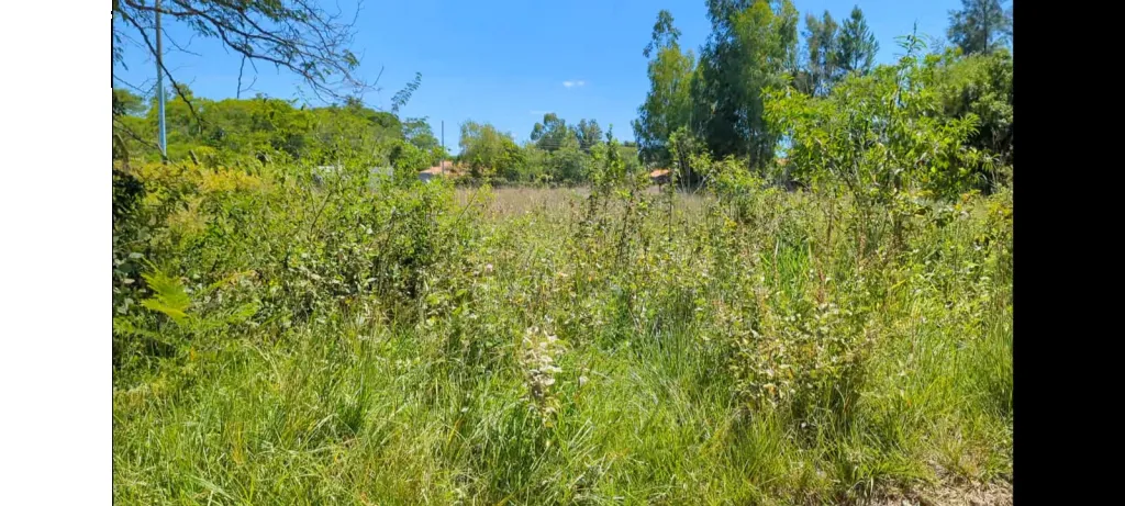 TERRENO EN SAN BERNARDINO SADY 2 — foto 3