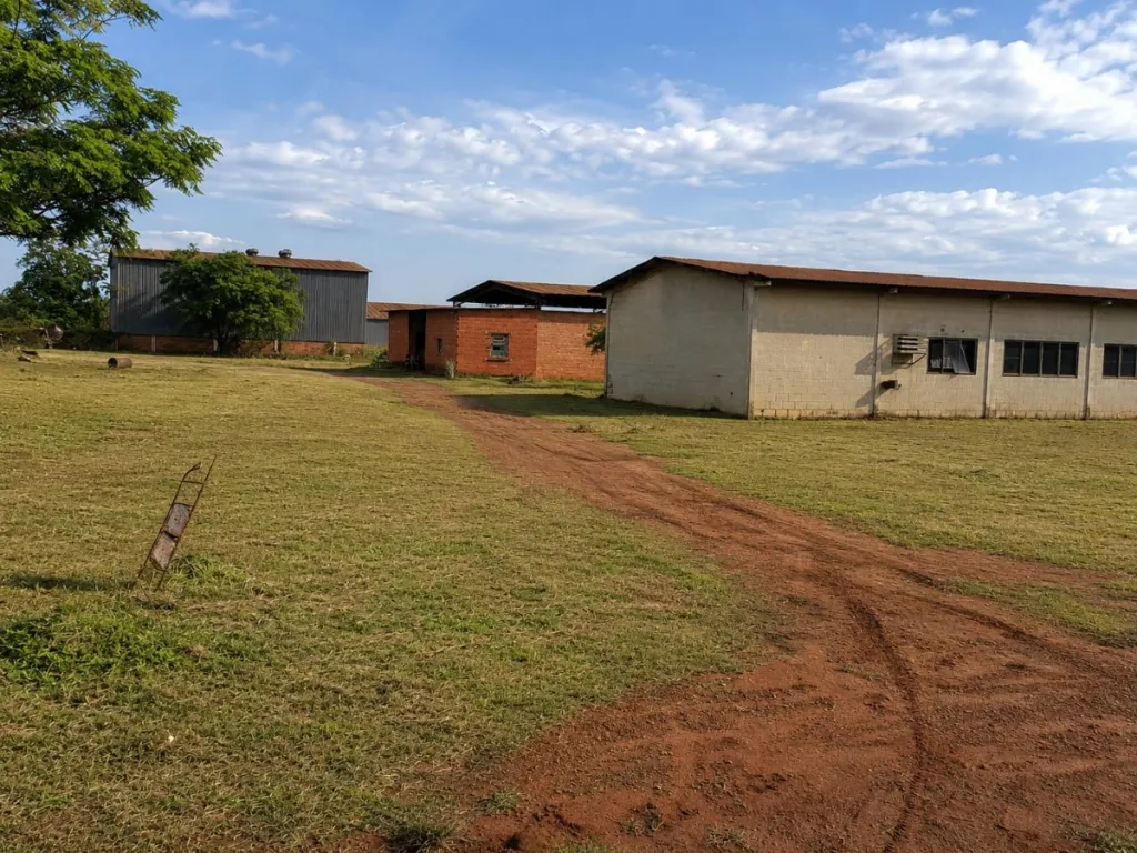 VENDO DOS TINGLADOS EN BELLA VISTA NORTE - AMPLIO TERRENO — foto 3