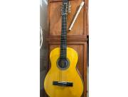 Guitarra Acústica