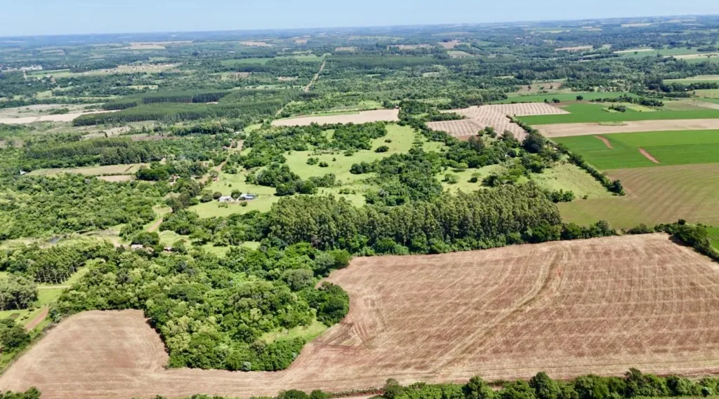 Terreno Rural en Capital Miranda - 7 Ha. — foto 2