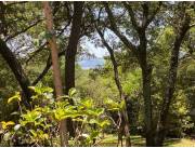 Vendo Casa en Aregua, Fracción Aregua - Estanzuela, Ruta Aregua Patiño