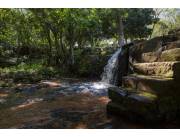 🌿 13-Hectare Country Property with Natural Stream – Caacupé, Paraguay