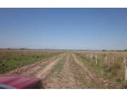 YAGUARON, PARAGUARÍ: 458 HAS, INFRAESTRUCTURA TOTAL, PASTURA, CAMPO NATURAL, ELECTRICIDAD.