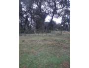 37,5 HA. DE CAMPO EN LOMA GRANDE - DEPARTAMENTO DE CORDILLERA