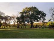 VENDO CAMPO EN SAN JAVIER MISIONES 35 HECTAREAS FERTILES